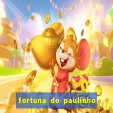 fortuna do paulinho do roupa nova